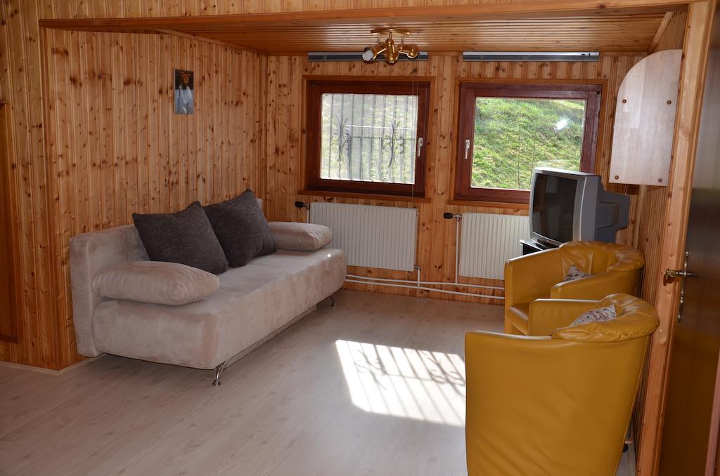 Haus Daniel Mariazell Apartment Ruang foto