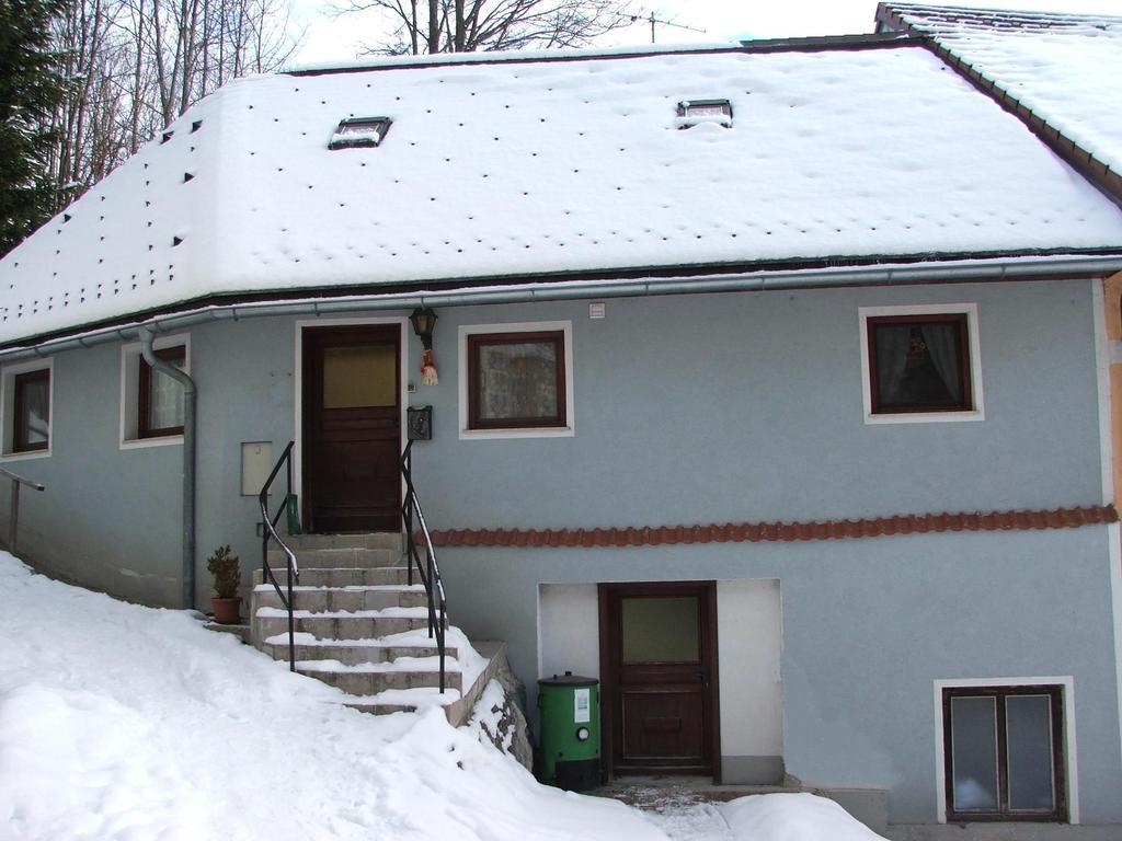 Haus Daniel Mariazell Apartment Ruang foto